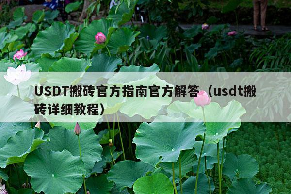 USDT搬砖官方指南官方解答(usdt搬砖详细教程)
