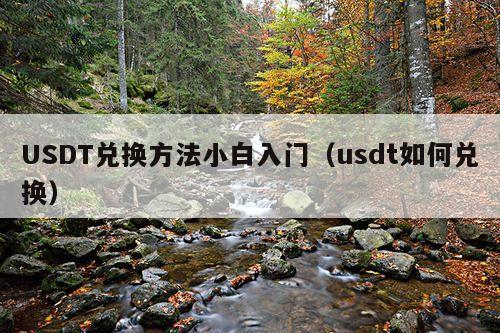 USDT兑换方法小白入门(usdt如何兑换)