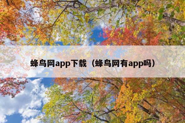 蜂鸟网app下载(蜂鸟网有app吗)