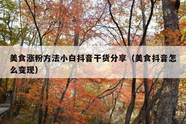 美食涨粉方法小白抖音干货分享(美食抖音怎么变现)