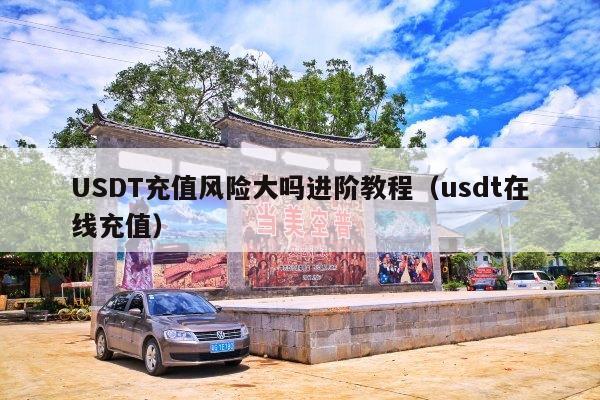 USDT充值风险大吗进阶教程(usdt在线充值)