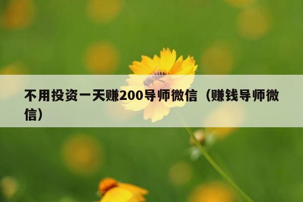 不用投资一天赚200导师微信(赚钱导师微信)