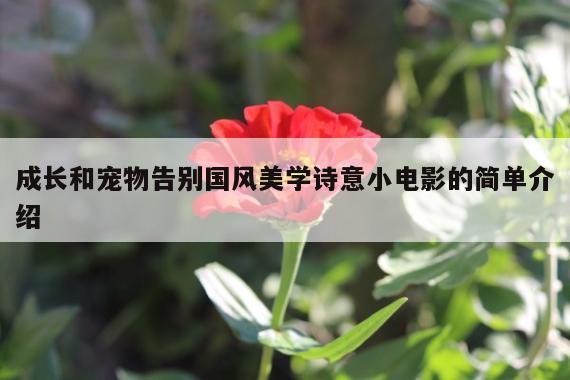 成长和宠物告别国风美学诗意小电影的简单介绍
