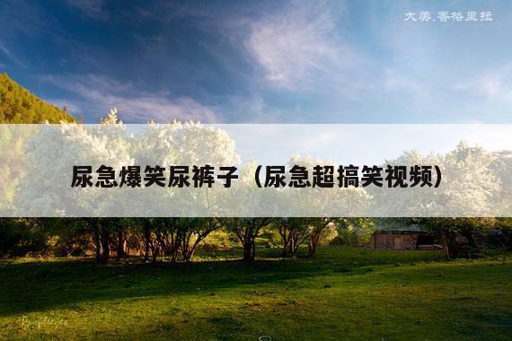 尿急爆笑尿裤子(尿急超搞笑视频)