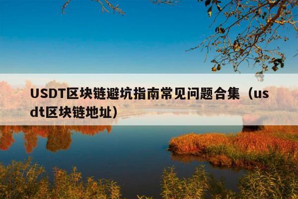 USDT区块链避坑指南常见问题合集(usdt区块链地址)