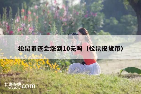 松鼠币还会涨到10元吗(松鼠皮货币)