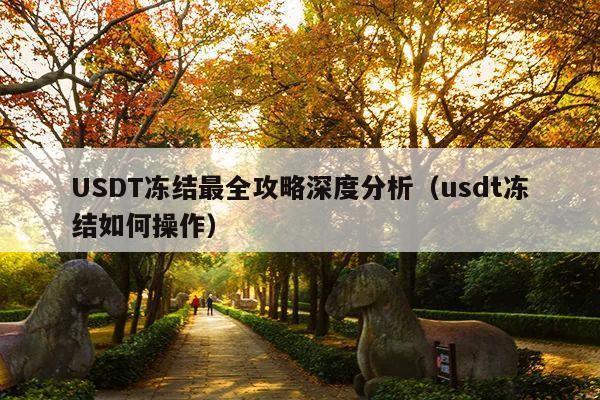 USDT冻结最全攻略深度分析(usdt冻结如何操作)
