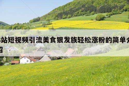 B站短视频引流美食银发族轻松涨粉的简单介绍