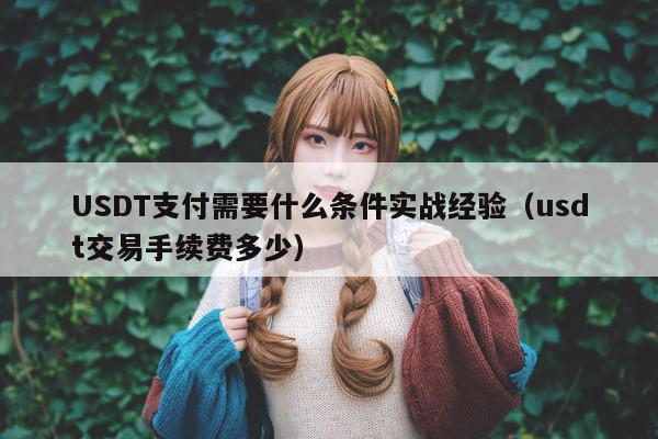 USDT支付需要什么条件实战经验(usdt交易手续费多少)