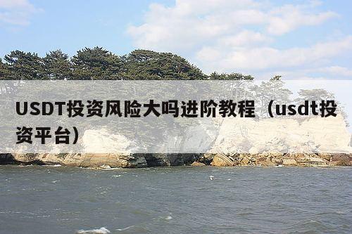 USDT投资风险大吗进阶教程(usdt投资平台)