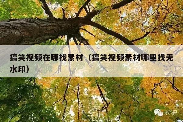 搞笑视频在哪找素材(搞笑视频素材哪里找无水印)