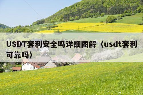 USDT套利安全吗详细图解(usdt套利可靠吗)