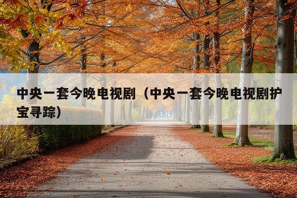 中央一套今晚电视剧(中央一套今晚电视剧护宝寻踪)