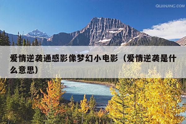 爱情逆袭通感影像梦幻小电影(爱情逆袭是什么意思)