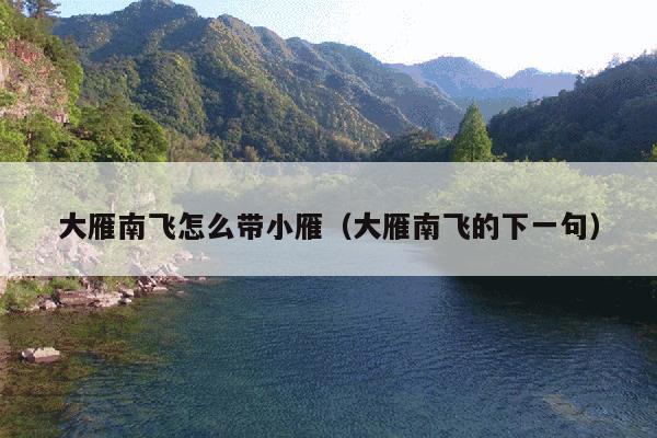 大雁南飞怎么带小雁(大雁南飞的下一句)