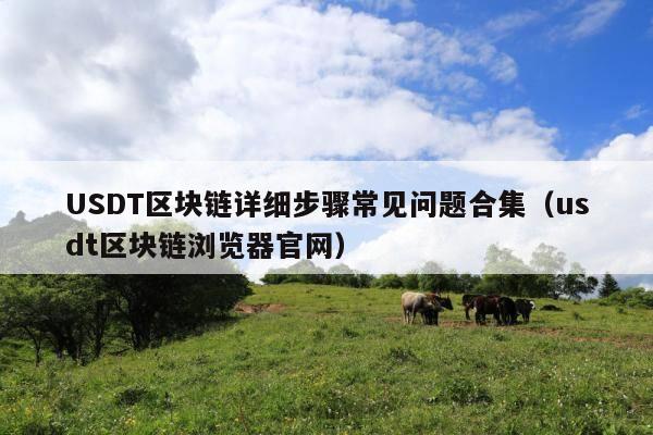USDT区块链详细步骤常见问题合集(usdt区块链浏览器官网)