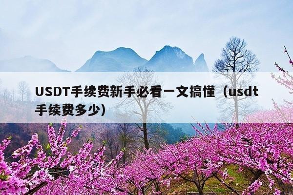 USDT手续费新手必看一文搞懂(usdt手续费多少)