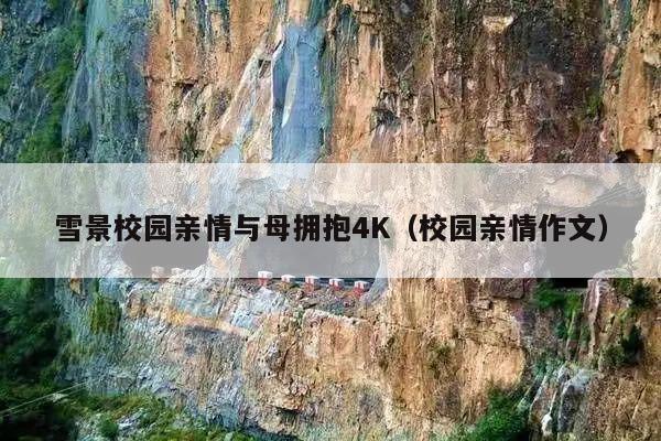 雪景校园亲情与母拥抱4K(校园亲情作文)