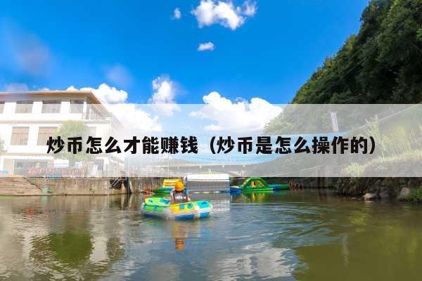 炒币怎么才能赚钱(炒币是怎么操作的)