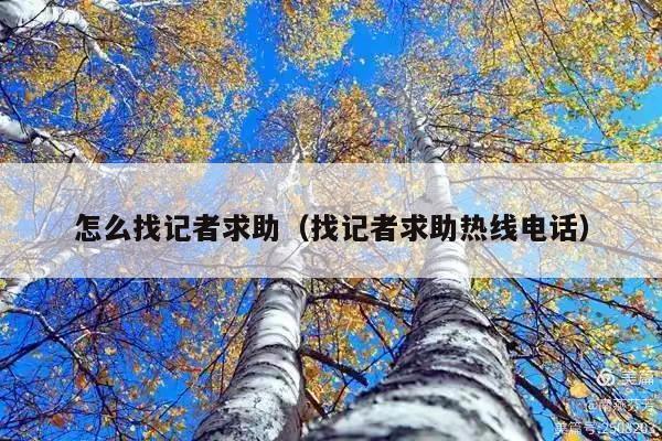怎么找记者求助(找记者求助热线电话)