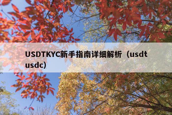 USDTKYC新手指南详细解析(usdtusdc)