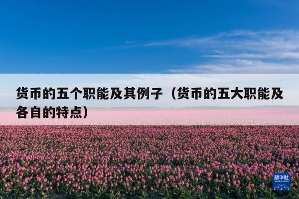 货币的五个职能及其例子(货币的五大职能及各自的特点)