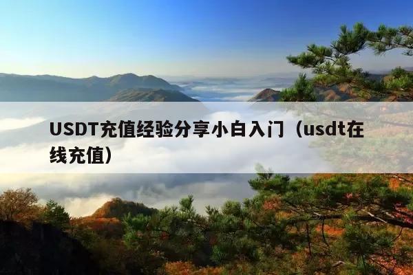 USDT充值经验分享小白入门(usdt在线充值)