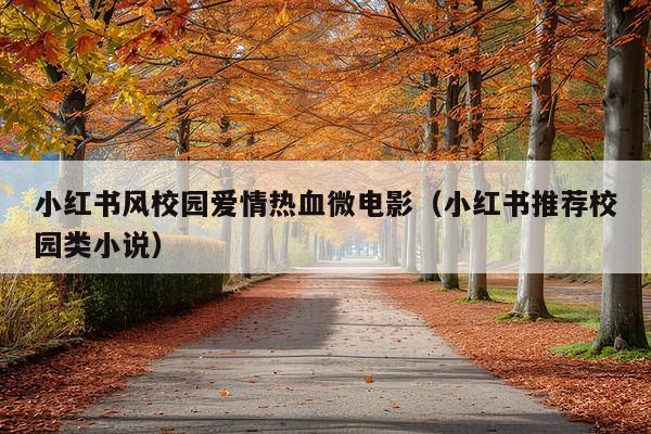 小红书风校园爱情热血微电影(小红书推荐校园类小说)