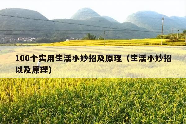 100个实用生活小妙招及原理(生活小妙招以及原理)