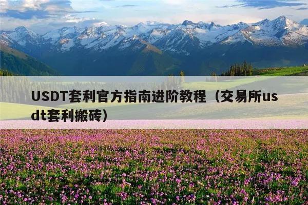 USDT套利官方指南进阶教程(交易所usdt套利搬砖)