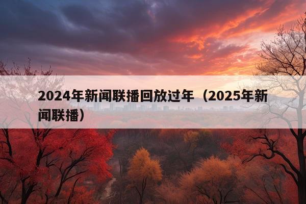 2024年新闻联播回放过年(2025年新闻联播)