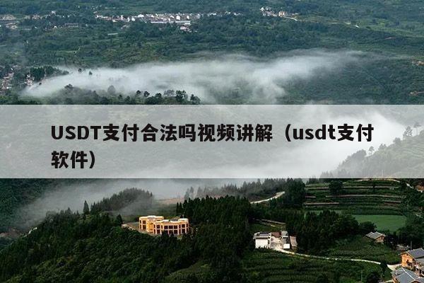 USDT支付合法吗视频讲解（usdt支付软件）