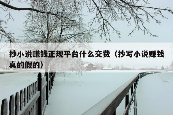 抄小说赚钱正规平台什么交费（抄写小说赚钱真的假的）