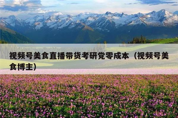 视频号美食直播带货考研党零成本（视频号美食博主）