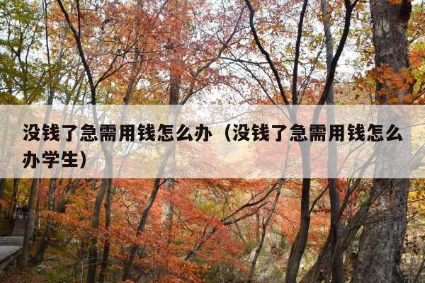 没钱了急需用钱怎么办（没钱了急需用钱怎么办学生）