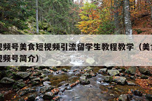 视频号美食短视频引流留学生教程教学（美食视频号简介）