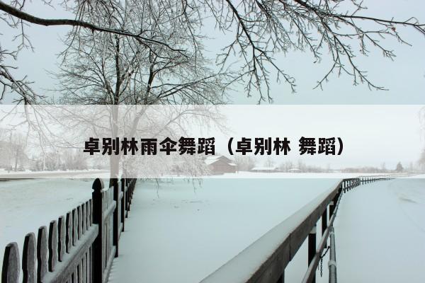 卓别林雨伞舞蹈(卓别林 舞蹈)