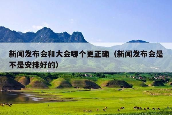 新闻发布会和大会哪个更正确(新闻发布会是不是安排好的)
