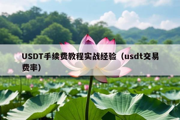 USDT手续费教程实战经验(usdt交易费率)