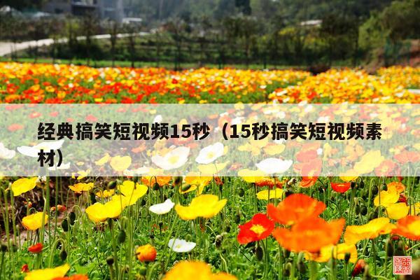 经典搞笑短视频15秒(15秒搞笑短视频素材)