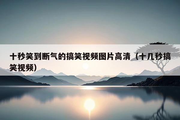 十秒笑到断气的搞笑视频图片高清（十几秒搞笑视频）