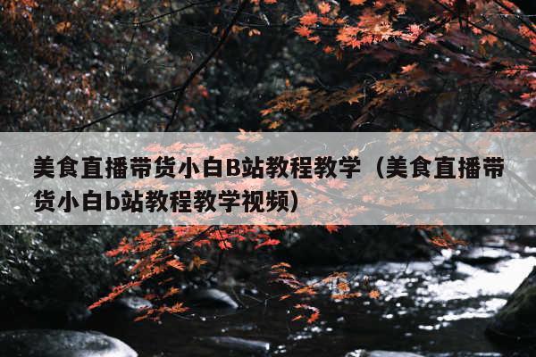 美食直播带货小白B站教程教学（美食直播带货小白b站教程教学视频）