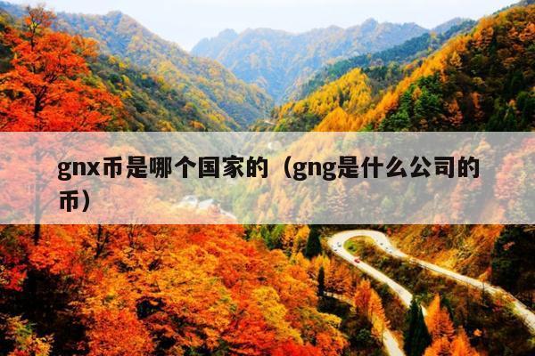gnx币是哪个国家的（gng是什么公司的币）