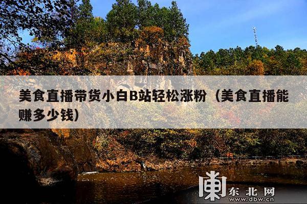 美食直播带货小白B站轻松涨粉(美食直播能赚多少钱)