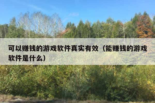 可以赚钱的游戏软件真实有效(能赚钱的游戏软件是什么)