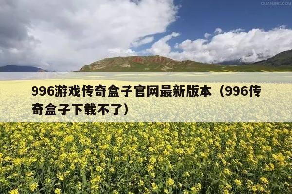 996游戏传奇盒子官网最新版本(996传奇盒子下载不了)