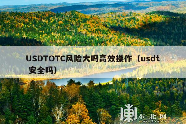 USDTOTC风险大吗高效操作(usdt 安全吗)