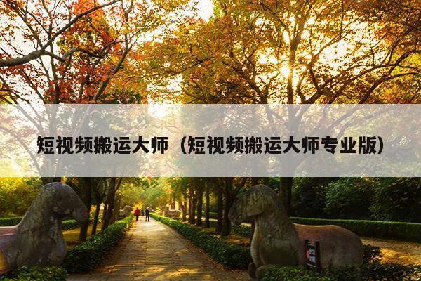 短视频搬运大师(短视频搬运大师专业版)