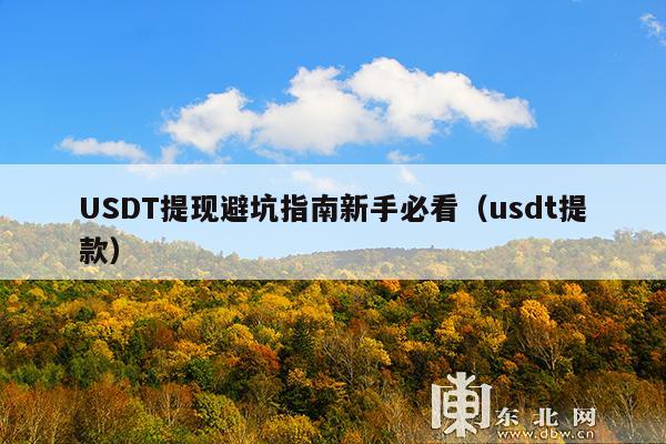USDT提现避坑指南新手必看(usdt提款)
