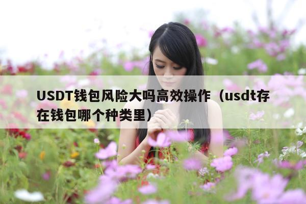 USDT钱包风险大吗高效操作(usdt存在钱包哪个种类里)